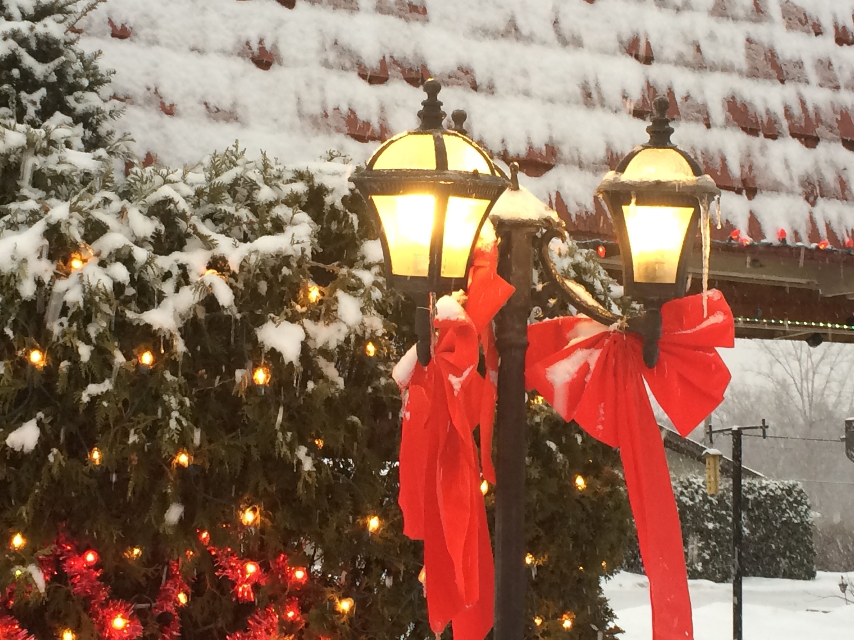 Photo - Hotel Motel Bonsoir