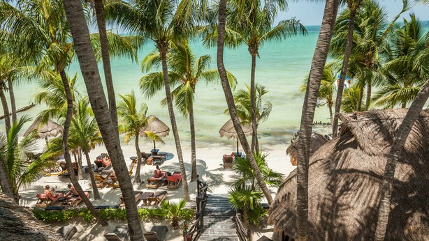 A beach resort with thatched-roof huts, palm trees, and lounge chairs. - Beachfront Hotel La Palapa - Adults Only (Isla Holbox)