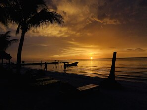 A beach scene with palm trees, a wooden pier, and a boat. - Beachfront Hotel La Palapa - Adults Only (Isla Holbox)