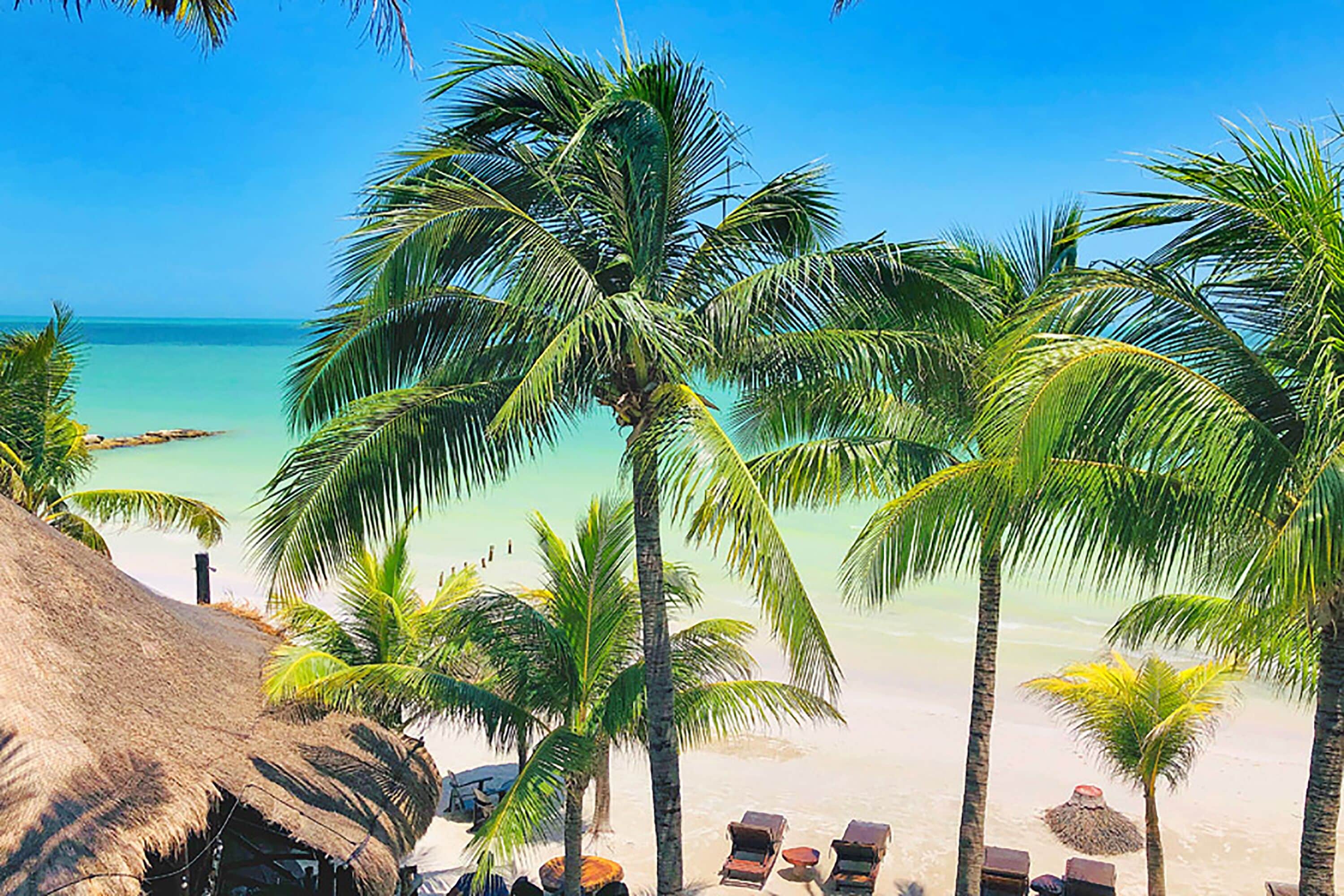 Foto - Beachfront Hotel La Palapa - Adults Only