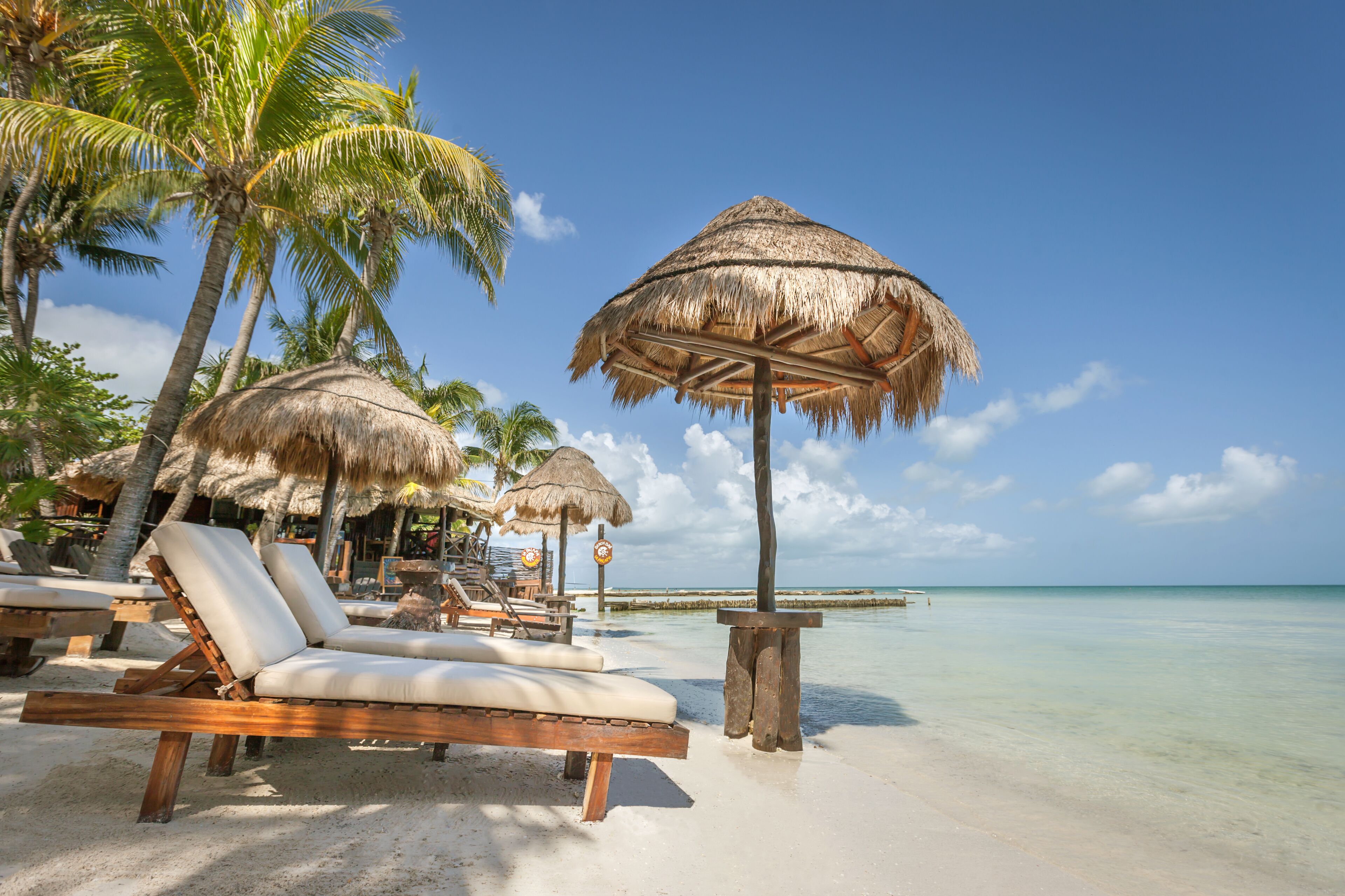Une plage avec des parasols en chaume, des chaises longues en bois et des palmiers.