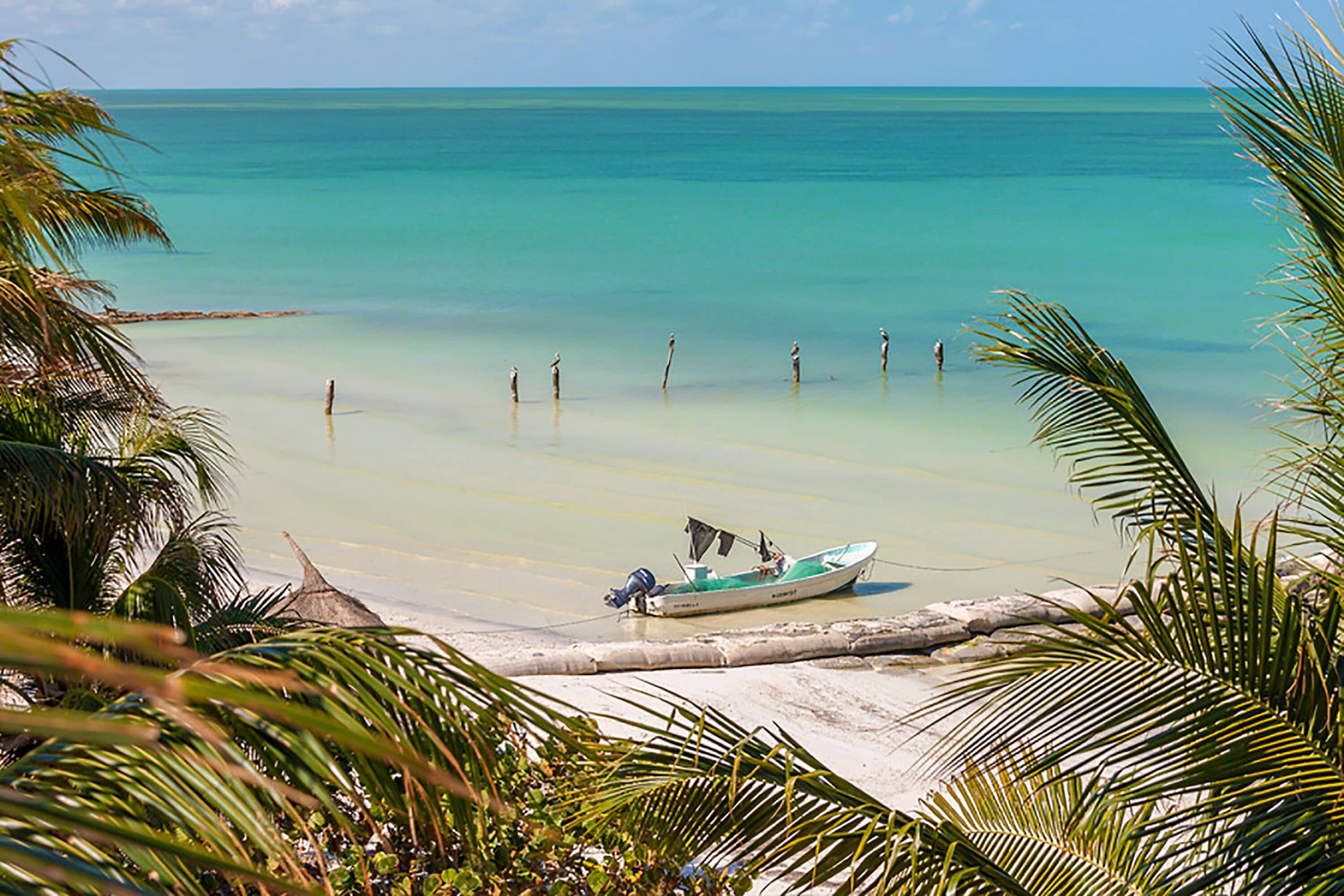 A beach with a boat anchored near the shore, surrounded by palm trees.