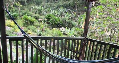 RafJam Bed & Breakfast