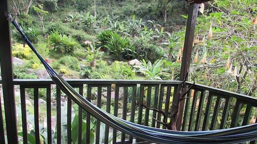 RafJam Bed & Breakfast