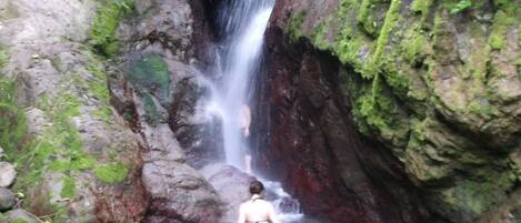 A waterfall in a rocky, moss-covered environment.