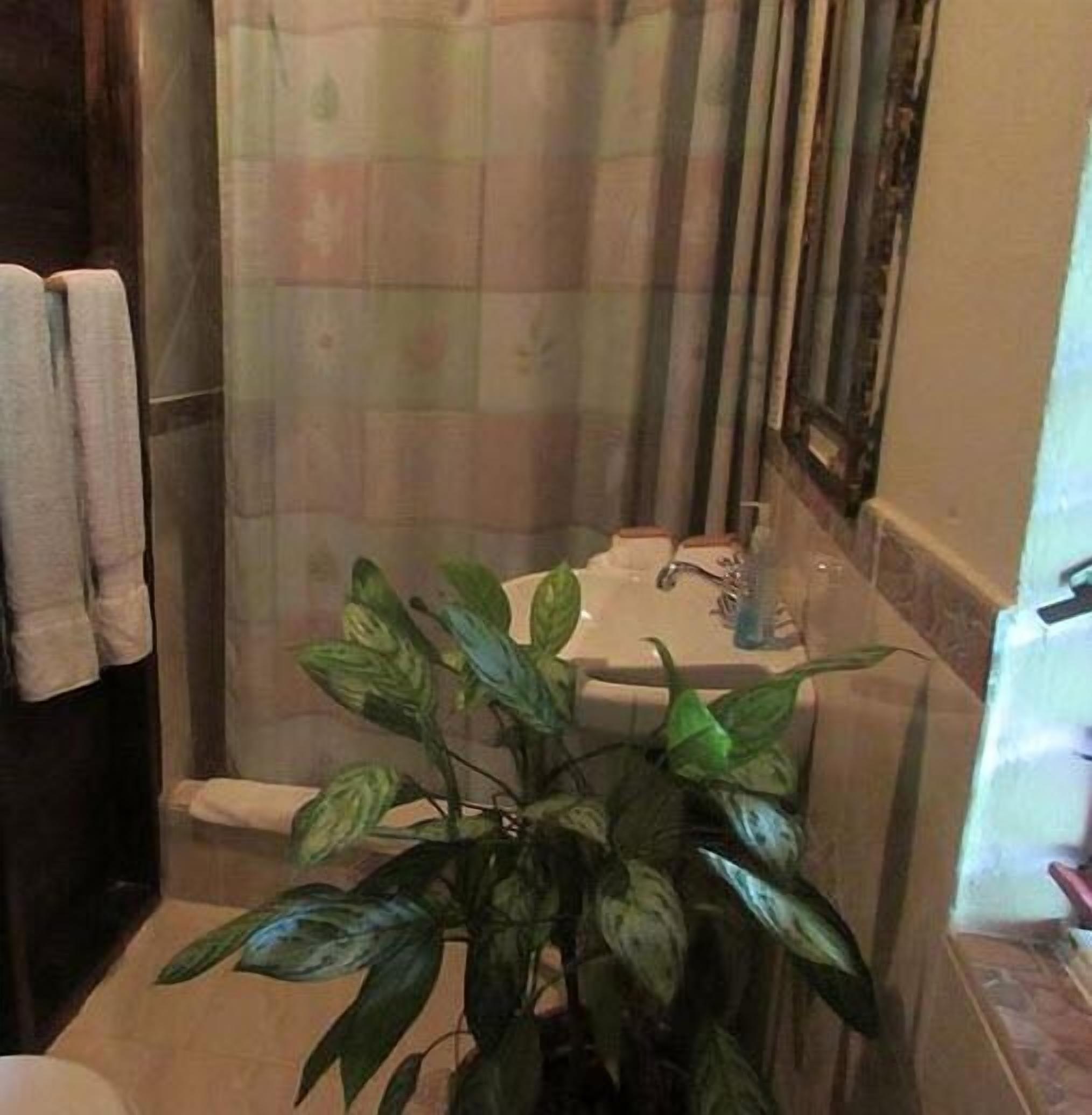 Une salle de bain avec un rideau de douche, un lavabo et une plante en pot.