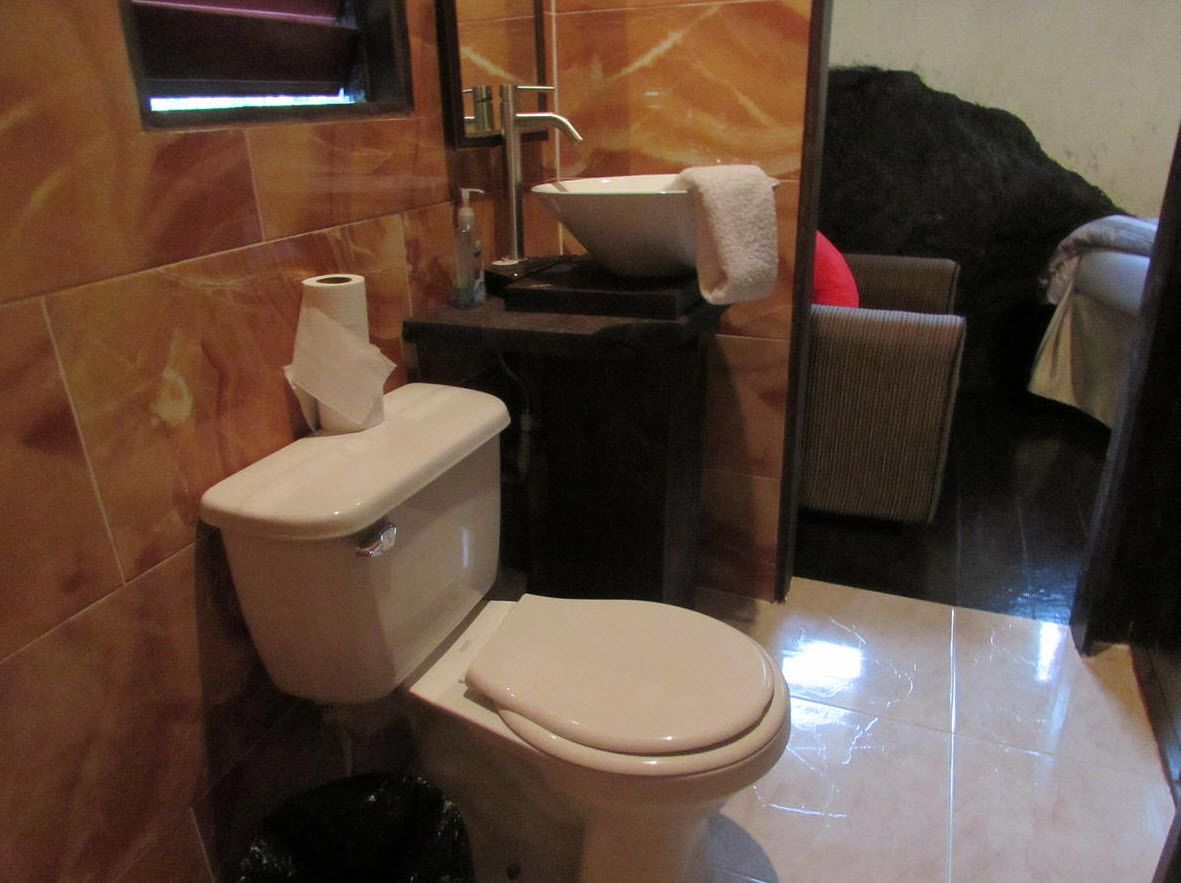 A bathroom with a toilet, a sink, and a shower area.