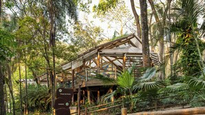 A wooden structure with a glass roof surrounded by dense tropical foliage. - Rio Quente Resorts - Hotel Giardino (Rio Quente)