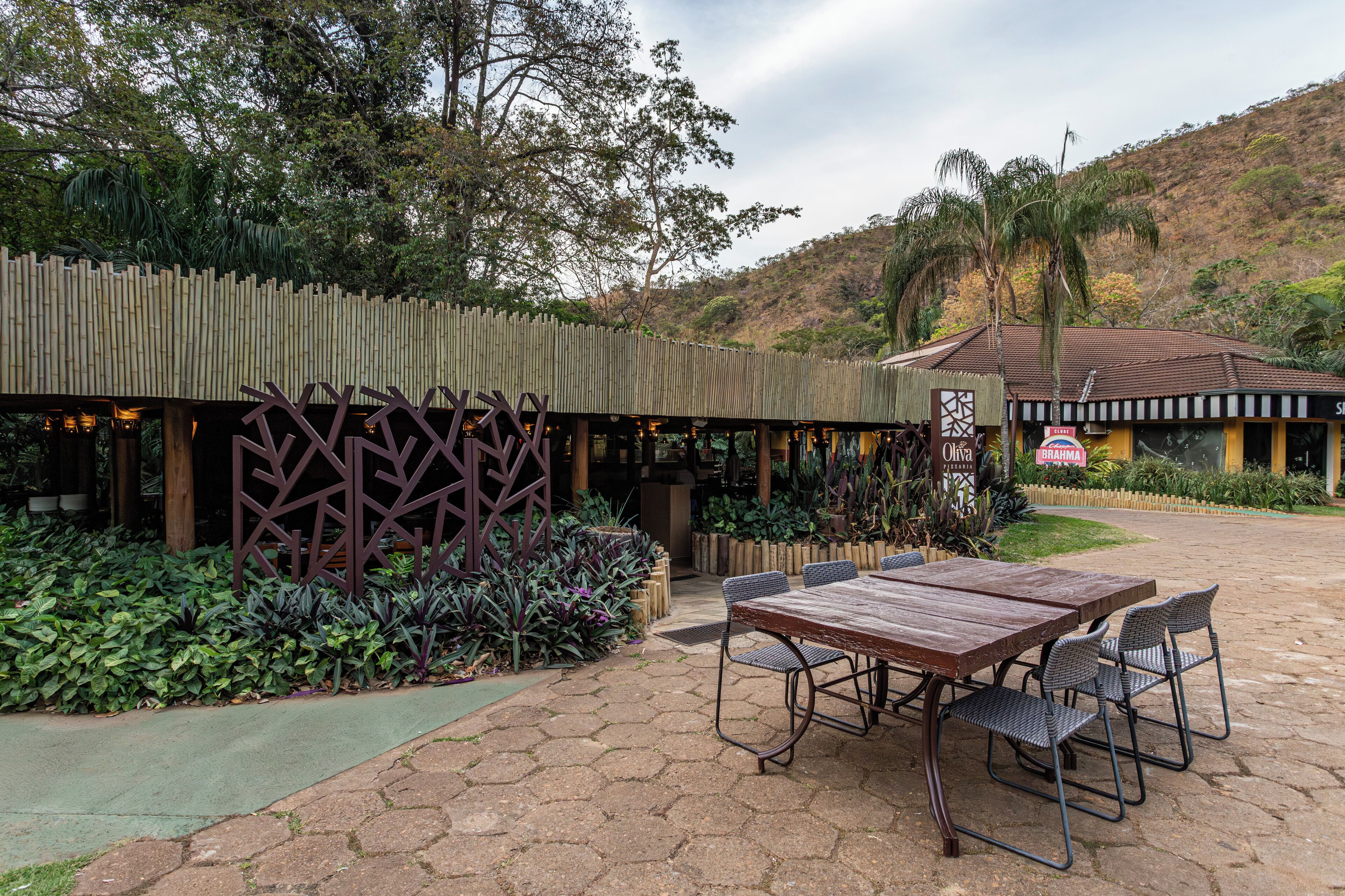 Un espace extérieur aménagé en terrasse, avec une table et des chaises en bois, entouré d’une végétation luxuriante et délimité par une clôture en bambou.