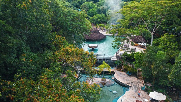 A lush, tropical resort with a central pool, surrounded by dense foliage and a thatched-roof structure. - Rio Quente Resorts - Hotel Luupi (Rio Quente)
