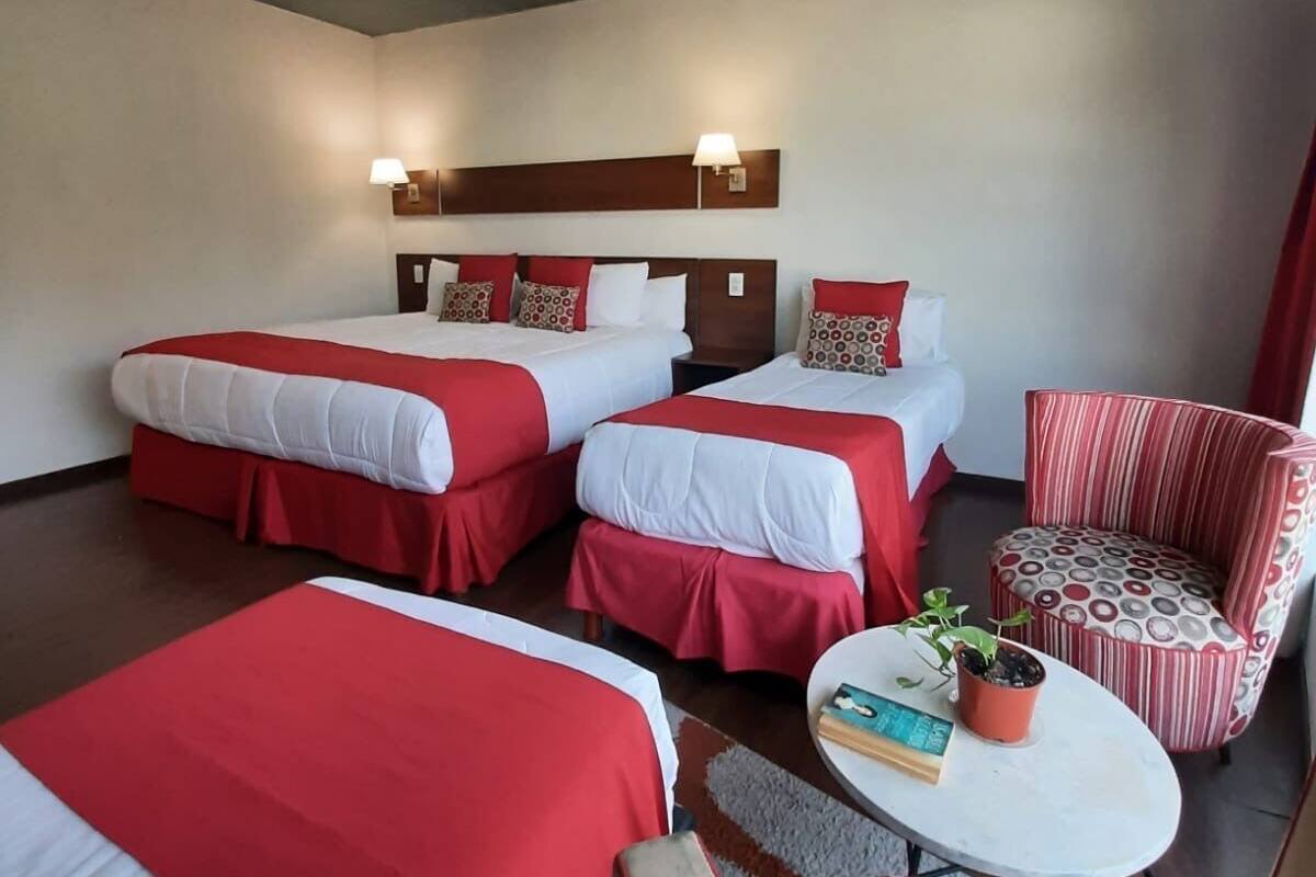 A hotel room with three beds, a small round table with a plant, and a striped armchair.