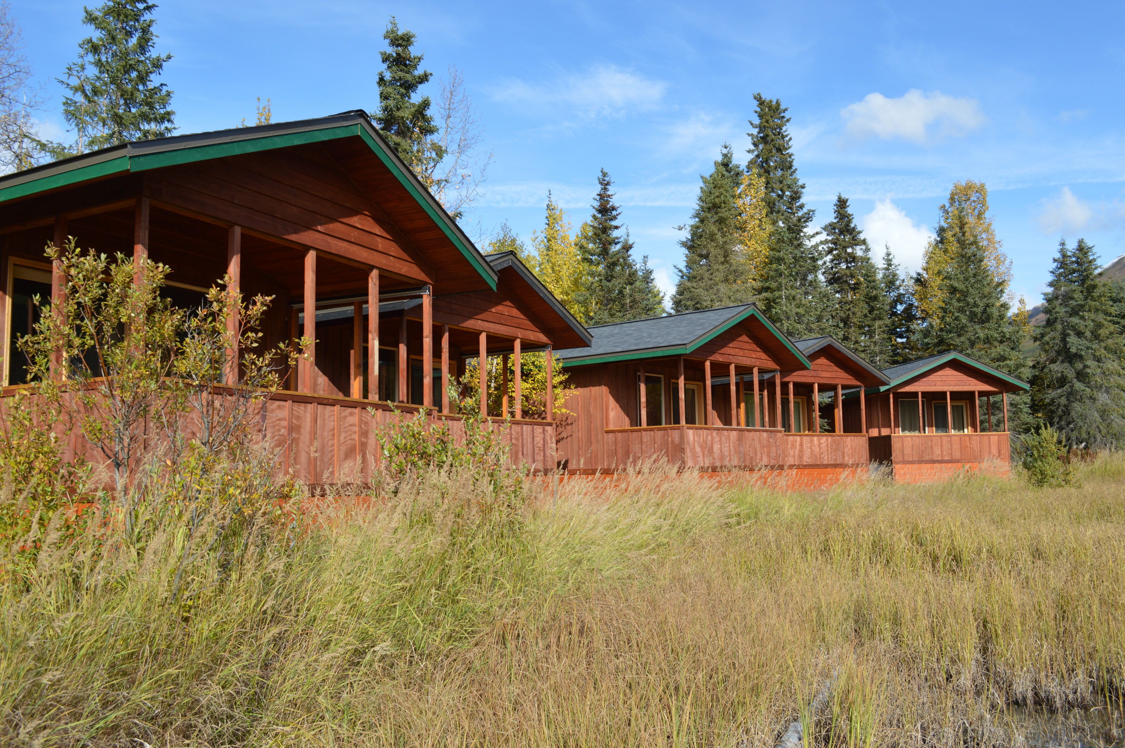 A row of wooden cabins with large windows and a green roof, surrounded by tall trees and grass.