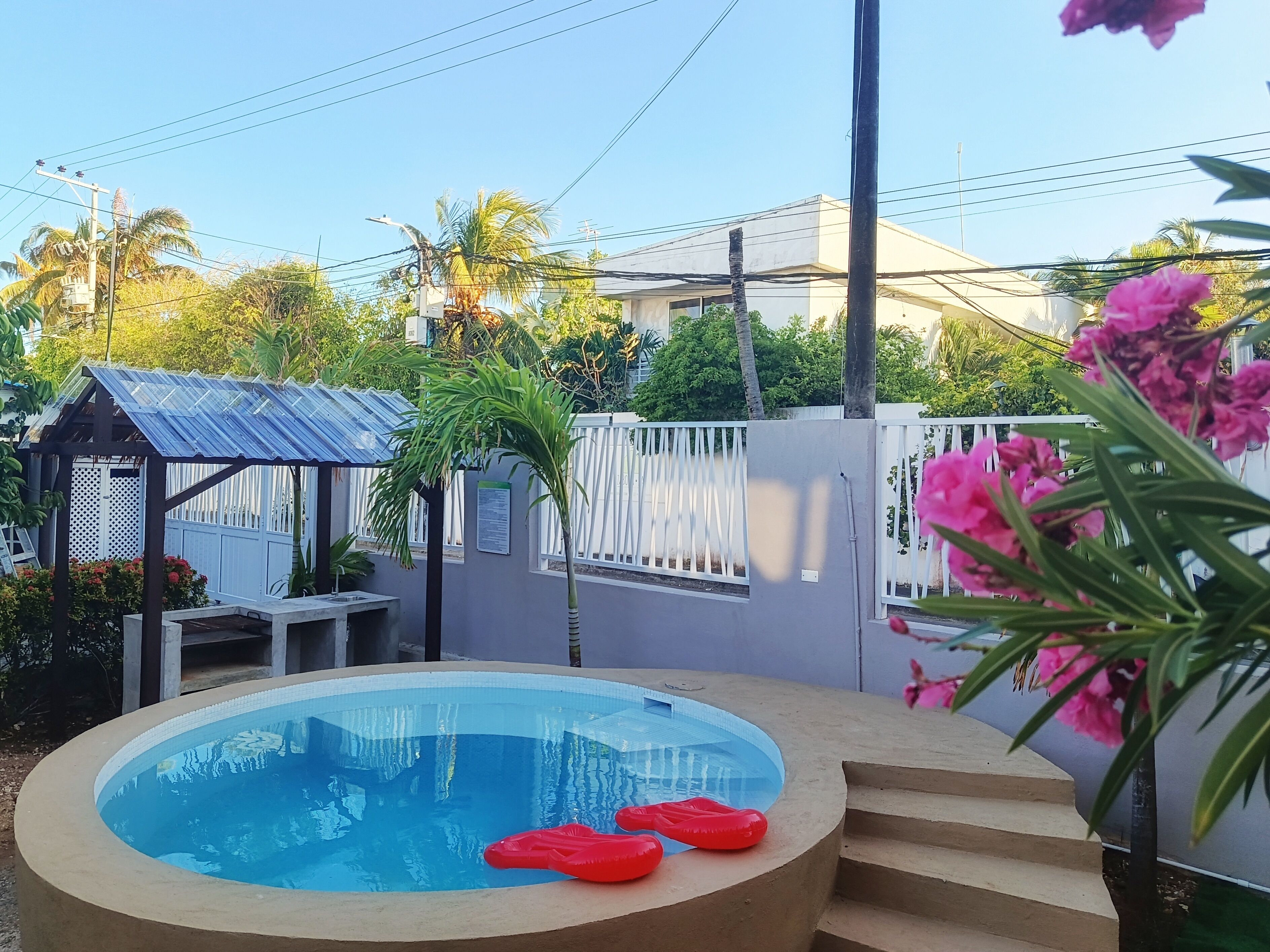 Une piscine avec des marches menant à l’intérieur, entourée d’une clôture et de palmiers.