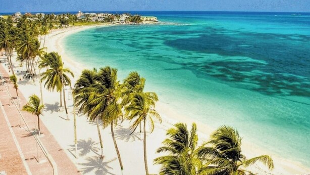 A beach with palm trees and a clear view of the ocean. - Cabañas Green Yard (San Andrés)