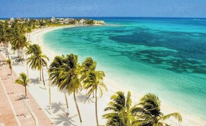 A beach with palm trees and a clear view of the ocean. - Cabañas Green Yard (San Andrés)