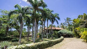 A tropical garden with palm trees, a paved pathway, and a building with a red roof.