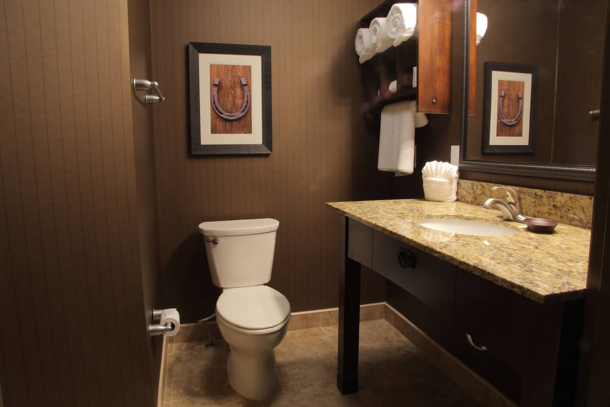 free toiletries, hair dryer, towels