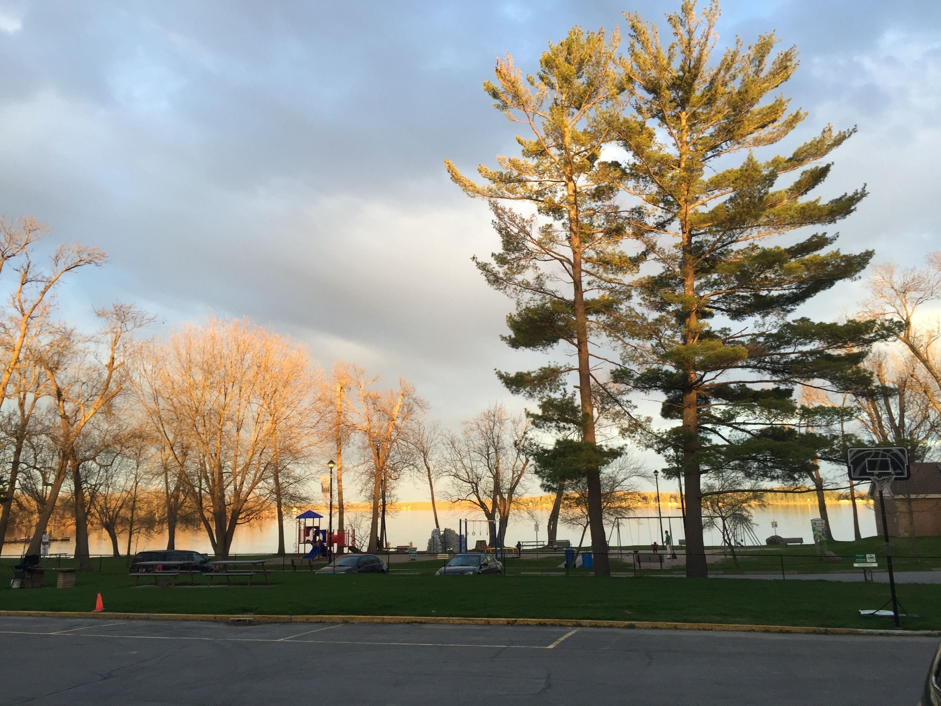 A park with a lake, trees, benches, and a playground.