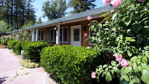 Une rangée de cabanes en bois dotées de grandes fenêtres, entourées d’arbustes verdoyants et de rosiers roses.
