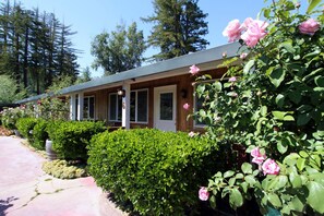 Property grounds - The Woods Hotel - Gay LGBTQ Cabins (Guerneville)