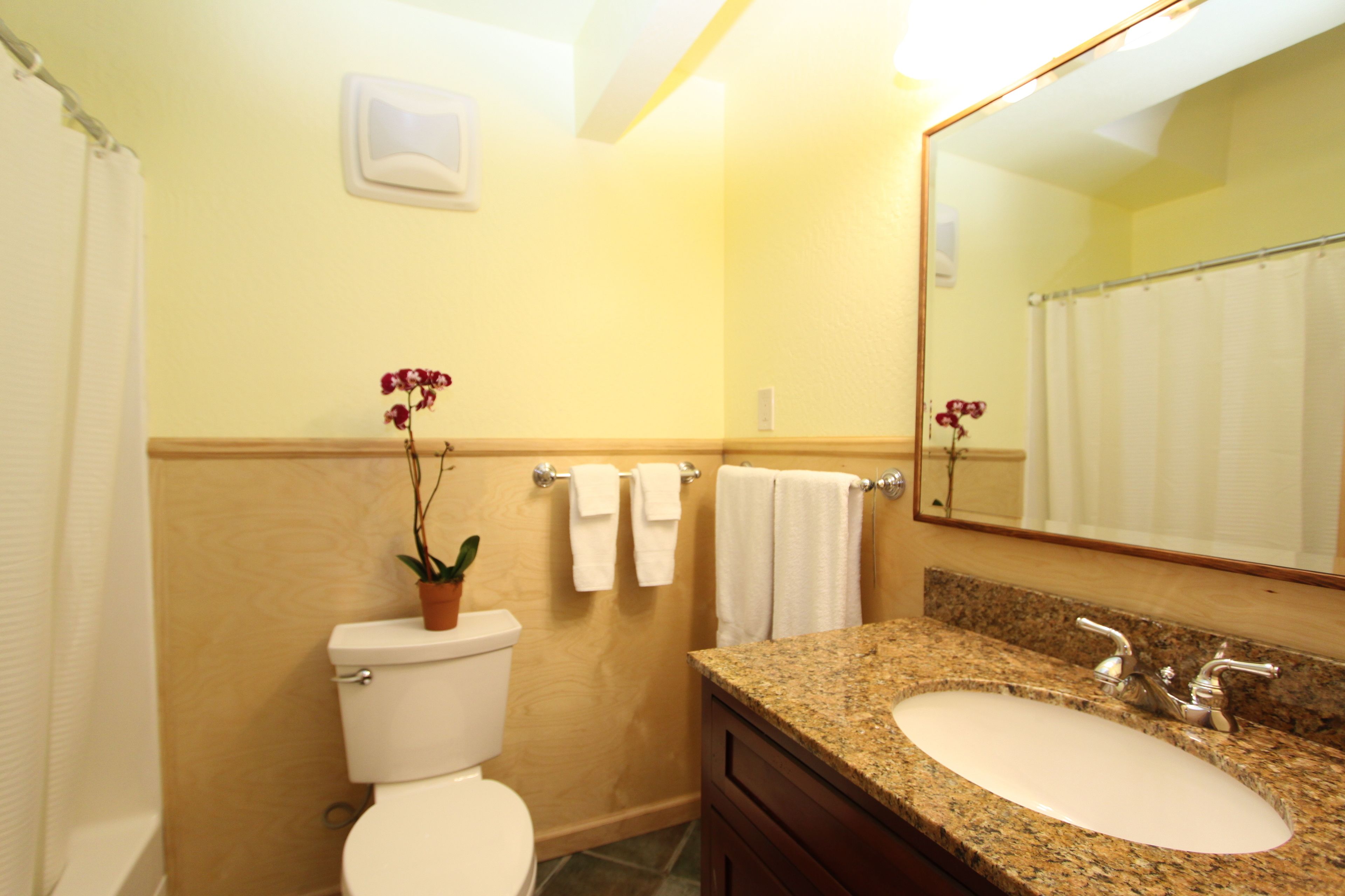 A bathroom with a toilet, sink, and mirror.
