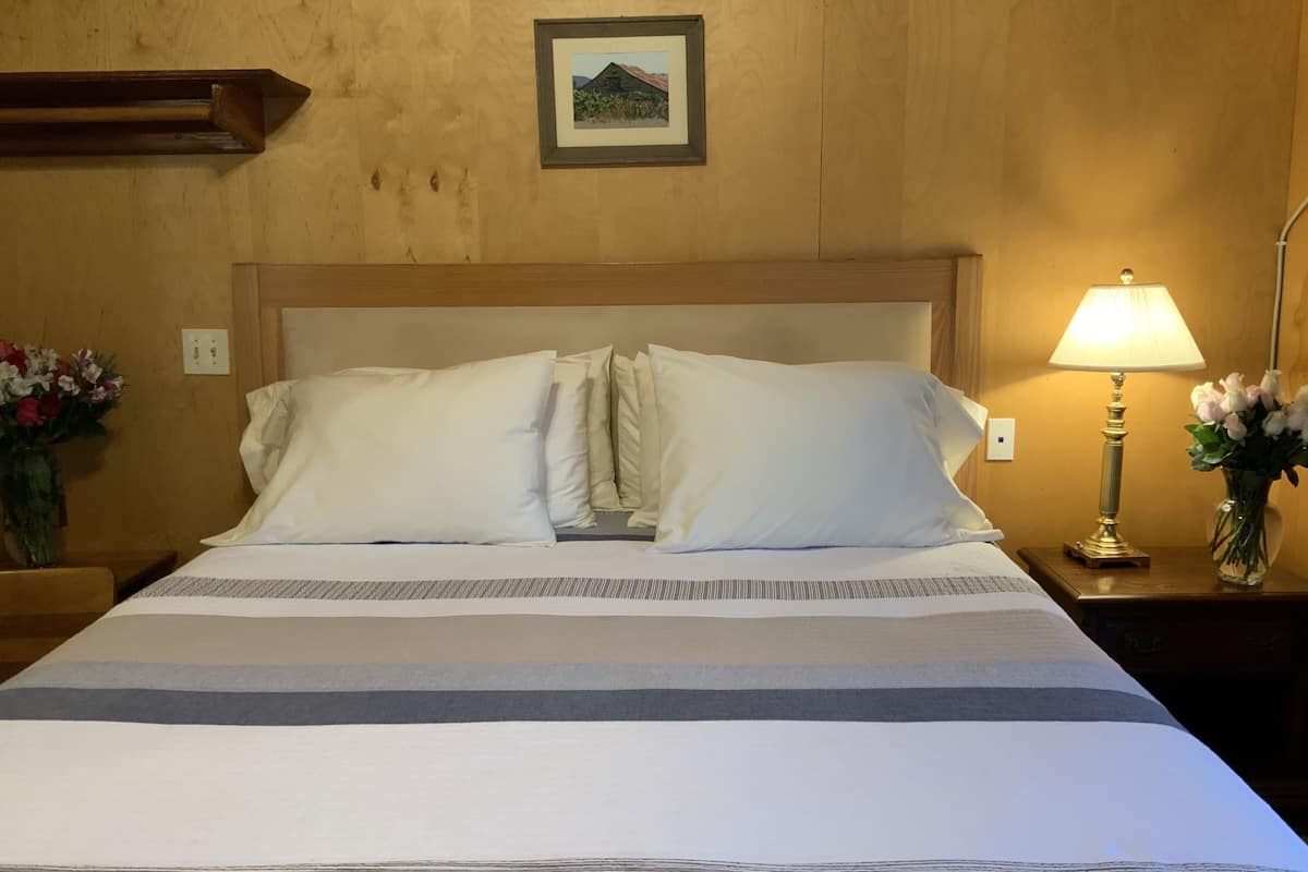 Deluxe Cabin, 1 King Bed | Living area | 20-inch TV with cable channels