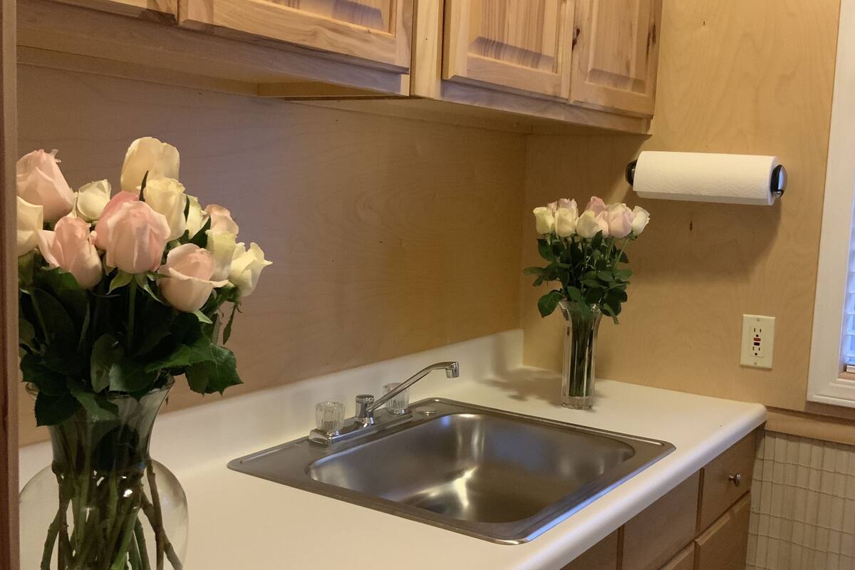 deluxe cabin, 1 king bed | private kitchen