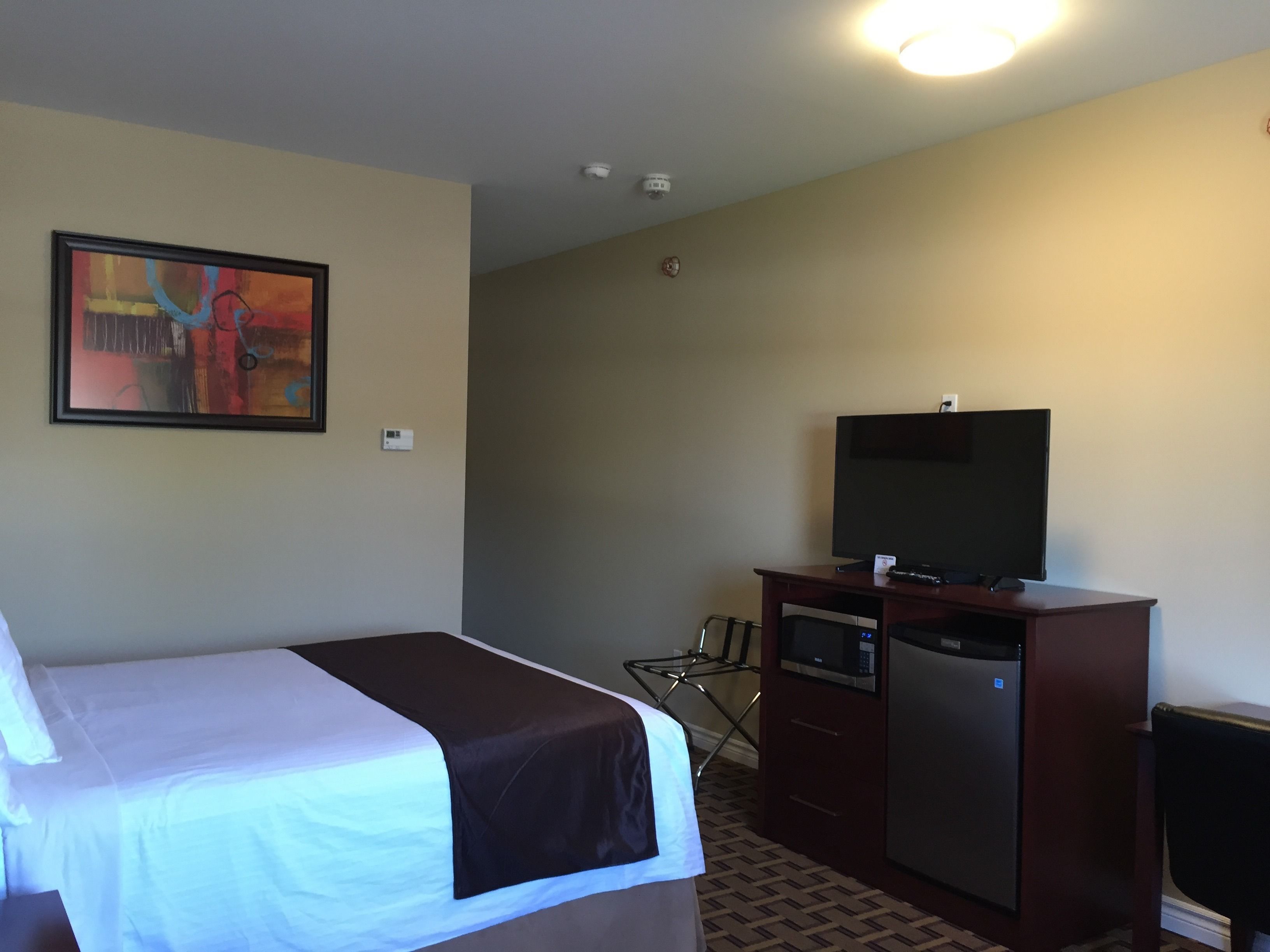Una habitación de hotel con cama, televisión, microondas y refrigerador.