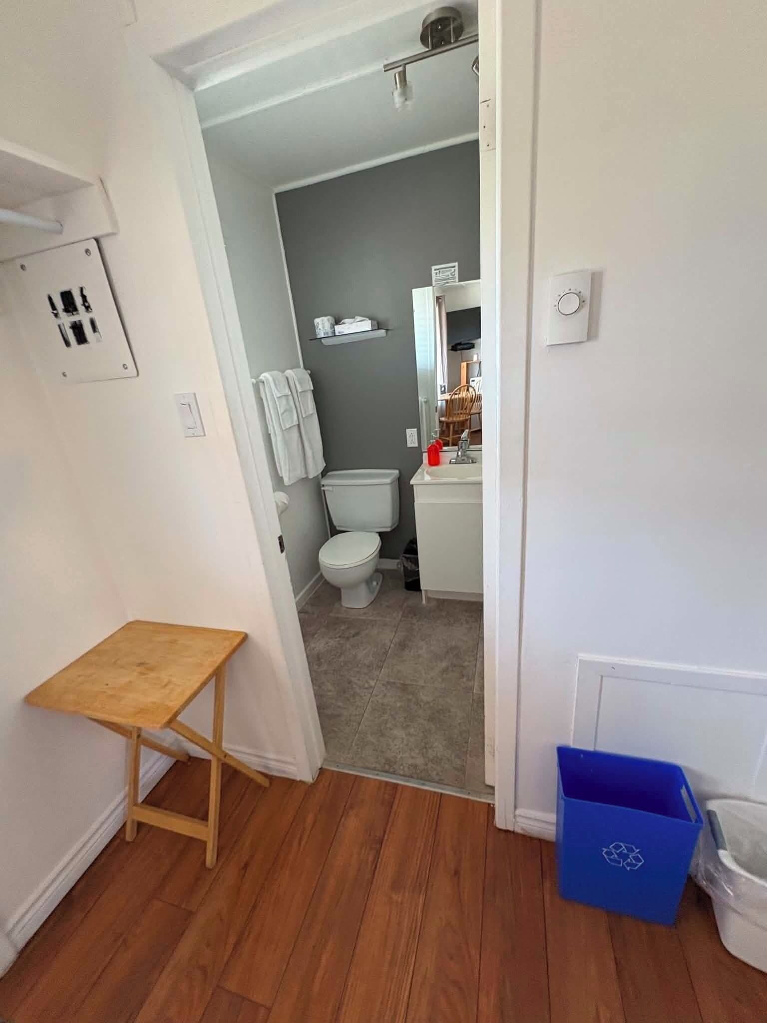 A narrow hallway leading to a bathroom with a toilet, sink, and mirror. There is a small wooden table and a blue recycling bin.