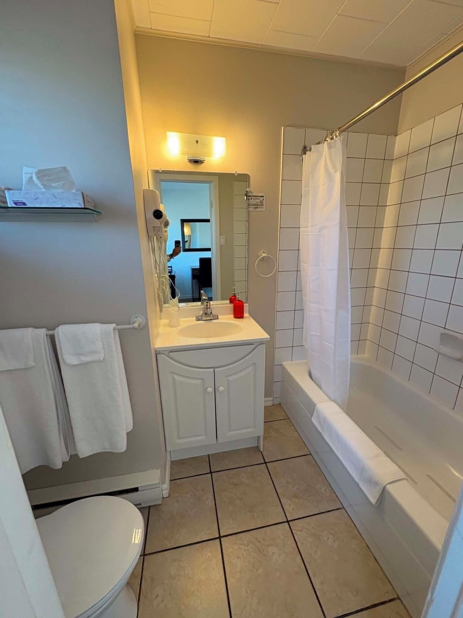 A bathroom with a toilet, sink, mirror, and shower area.