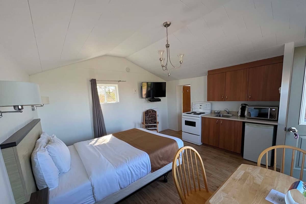 Una habitación con cama, una mesa de comedor, una zona de cocina y un televisor.