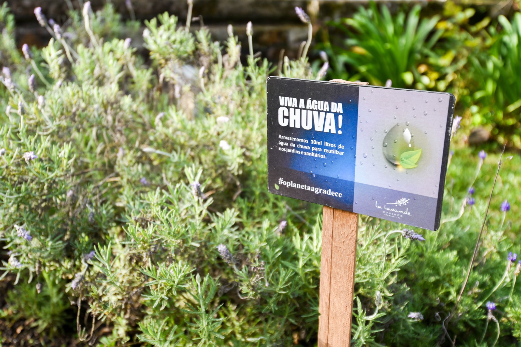 Foto - Pousada La Lavande