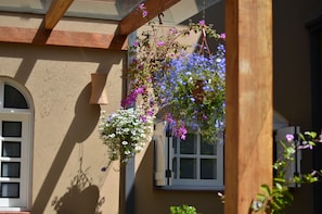 A building with a window and hanging flower baskets.