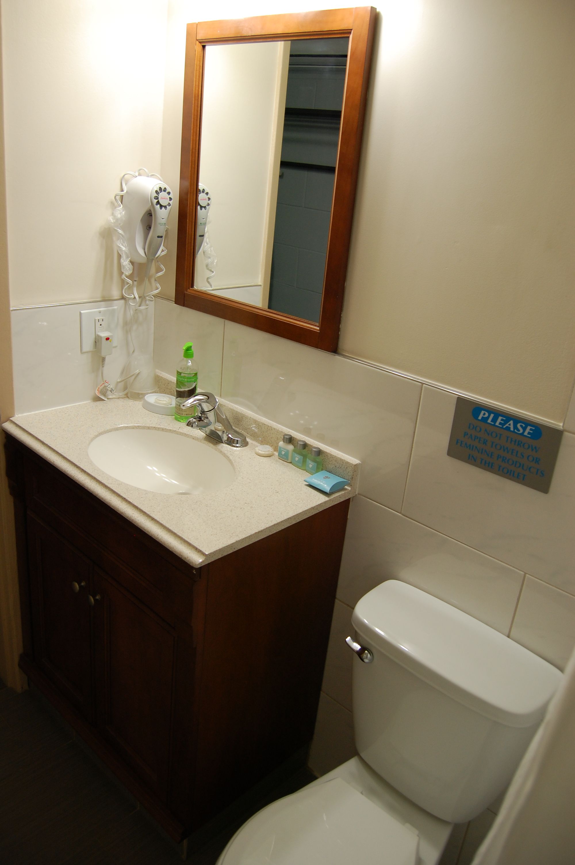 A bathroom with a sink, mirror, and toilet. There is a sign on the wall instructing not to throw paper towels or paper products in the toilet.