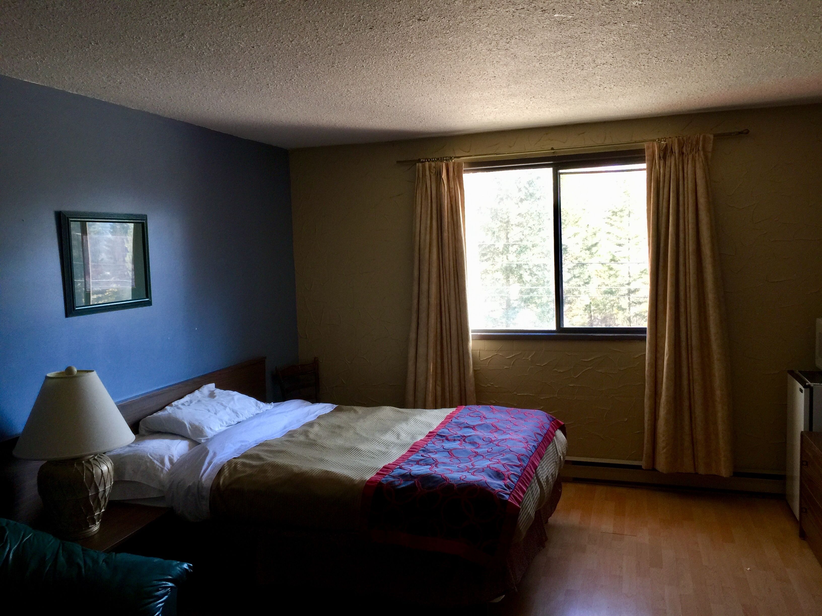 A hotel room with a bed, a nightstand, a lamp, a window with curtains, and a framed picture on the wall.