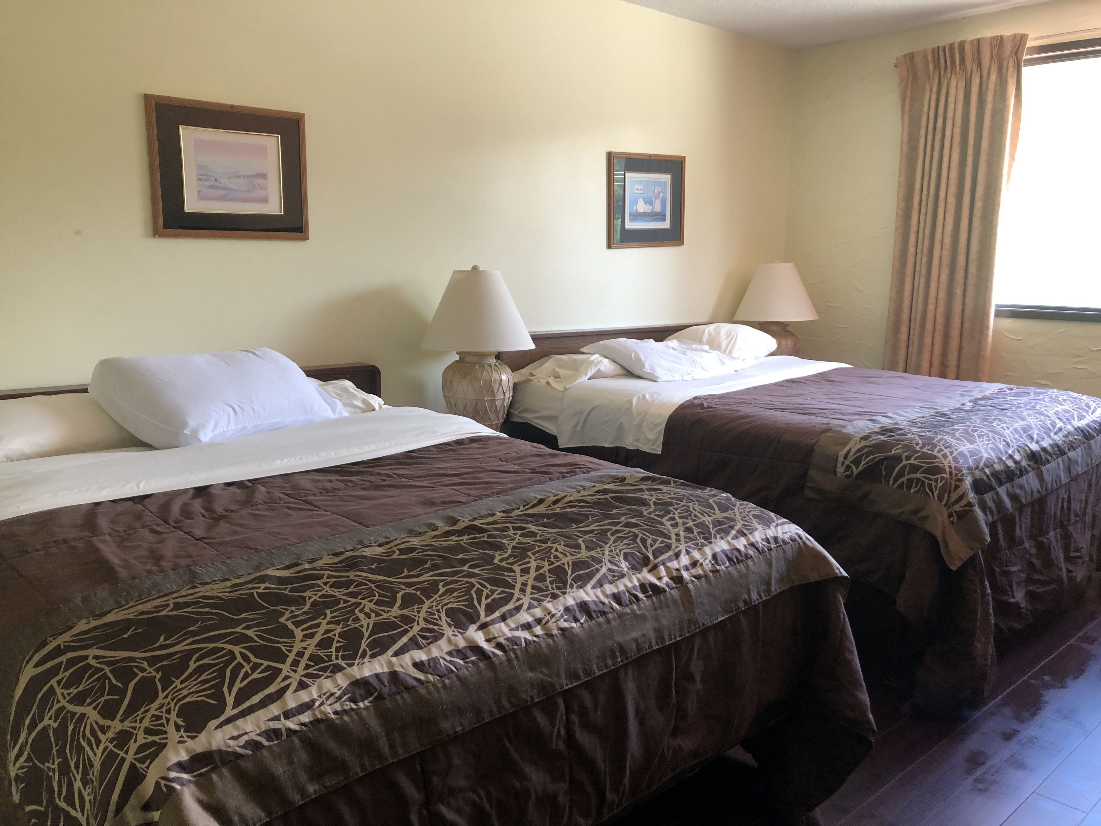 A hotel room with two beds, each with a brown bedspread and white pillows. There are two framed pictures on the wall, a lamp on each side of the beds, and a window with curtains.