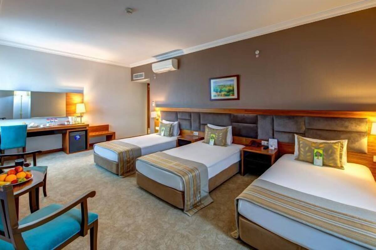 Premium bedding, minibar, in-room safe, blackout drapes