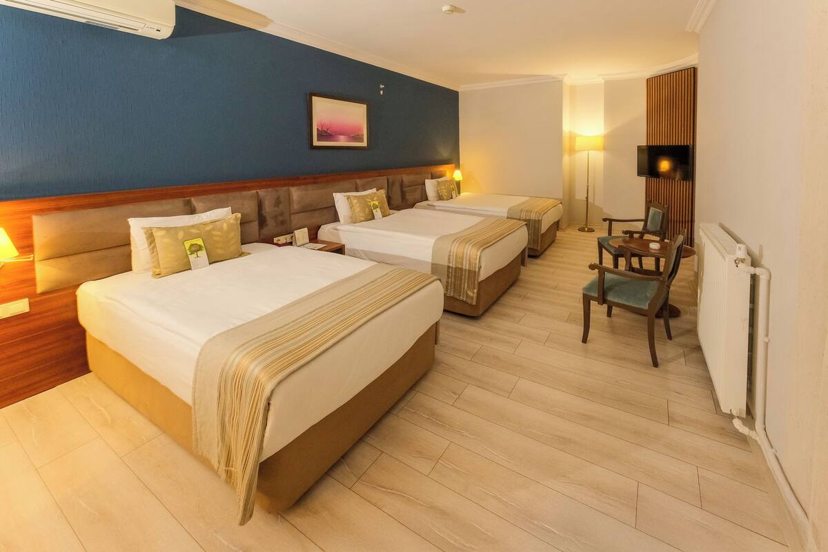 Habitación de hotel con dos camas, una silla, un televisor y un cuadro en la pared.