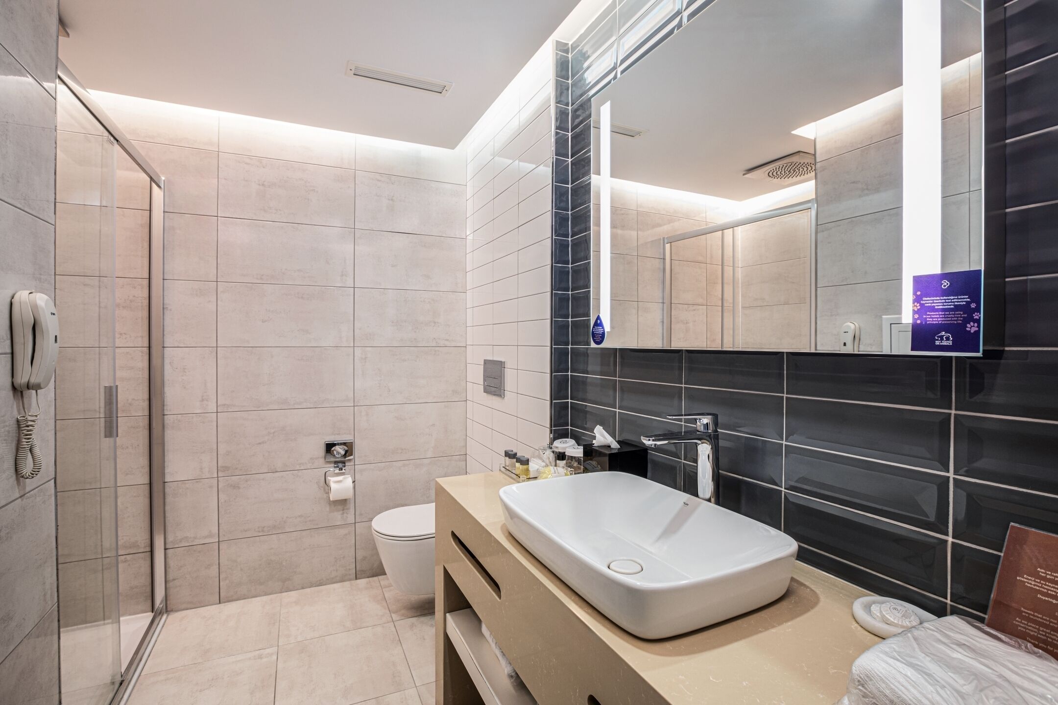deluxe suite room | bathroom | shower, rainfall showerhead, hair dryer, slippers