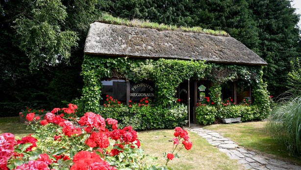 Un bâtiment rustique, doté d’un toit de chaume, entouré d’une végétation luxuriante et de magnifiques rosiers rouges.
