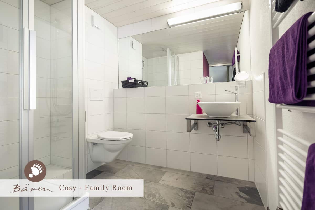family room (cosy) | bathroom | shower, free toiletries, hair dryer, bathrobes
