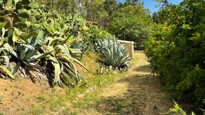 A garden pathway surrounded by various plants and trees. - Masseria Bannata (Enna)