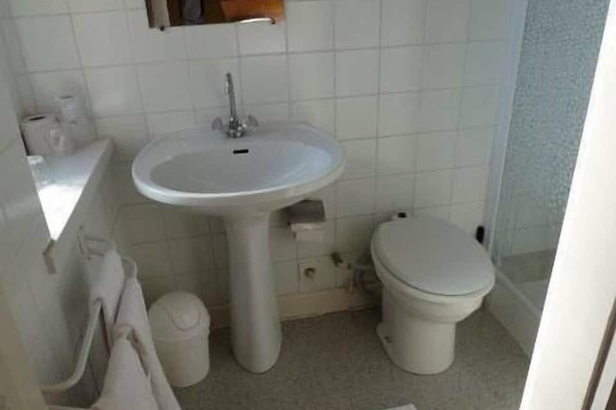 shower, free toiletries, hair dryer