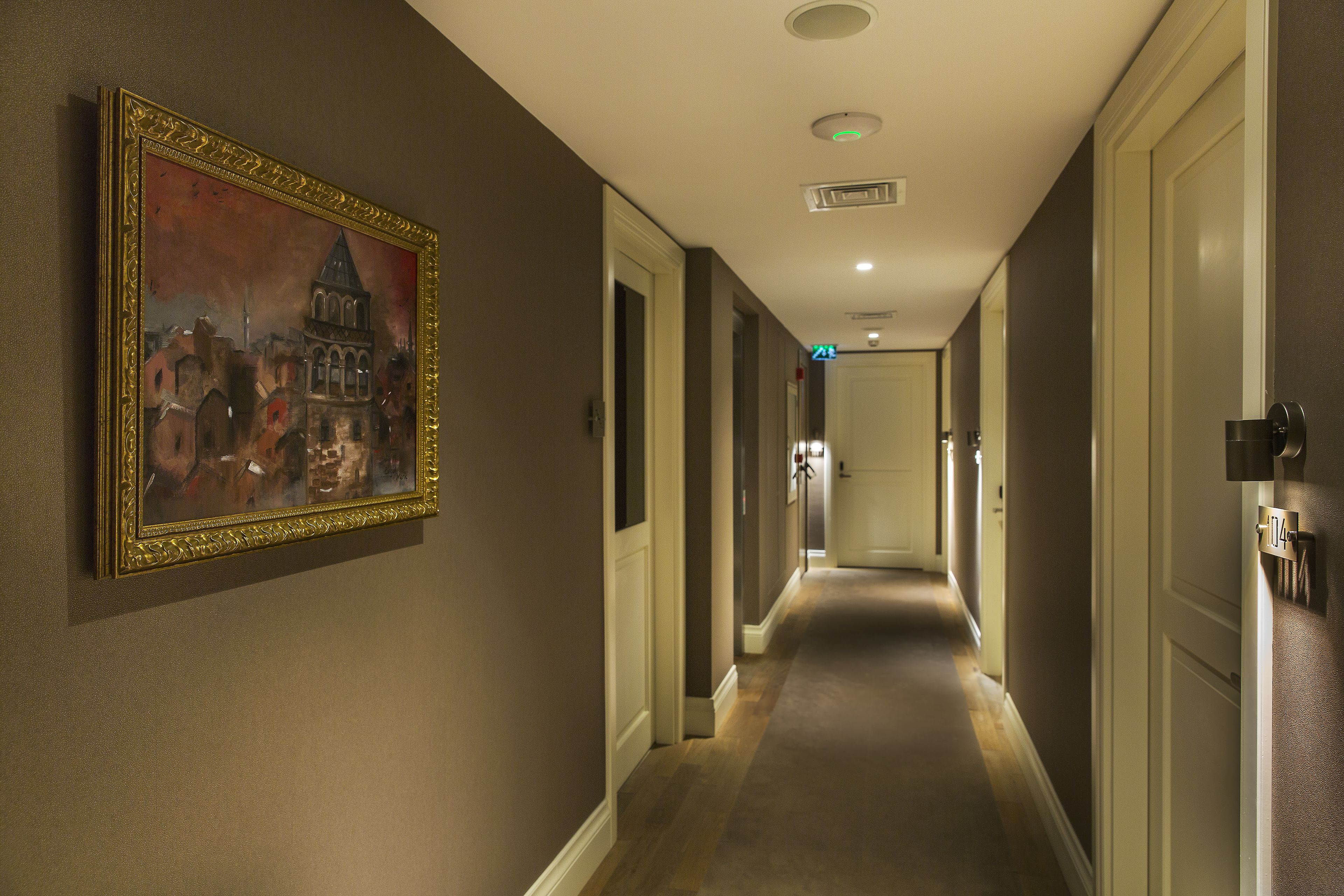 A hallway with a framed painting on the wall, doors on both sides, and a light fixture on the ceiling.
