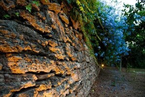 Property grounds - Gli Aranci (Agropoli)