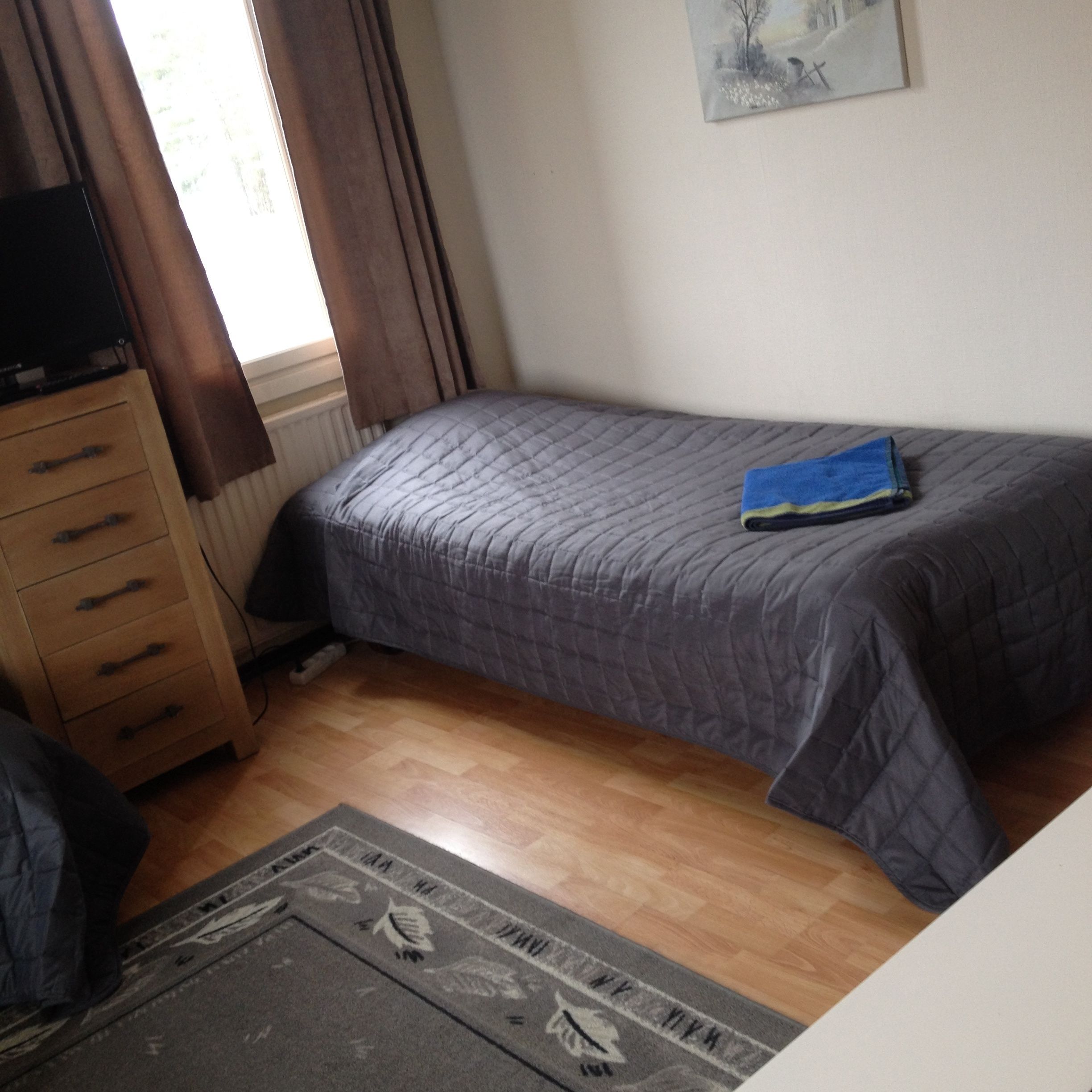 A bedroom with a bed, a dresser, a radiator, and a rug.