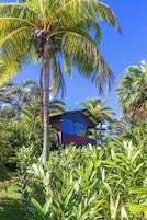 Un paisaje tropical con una palmera y un edificio de techo azul.