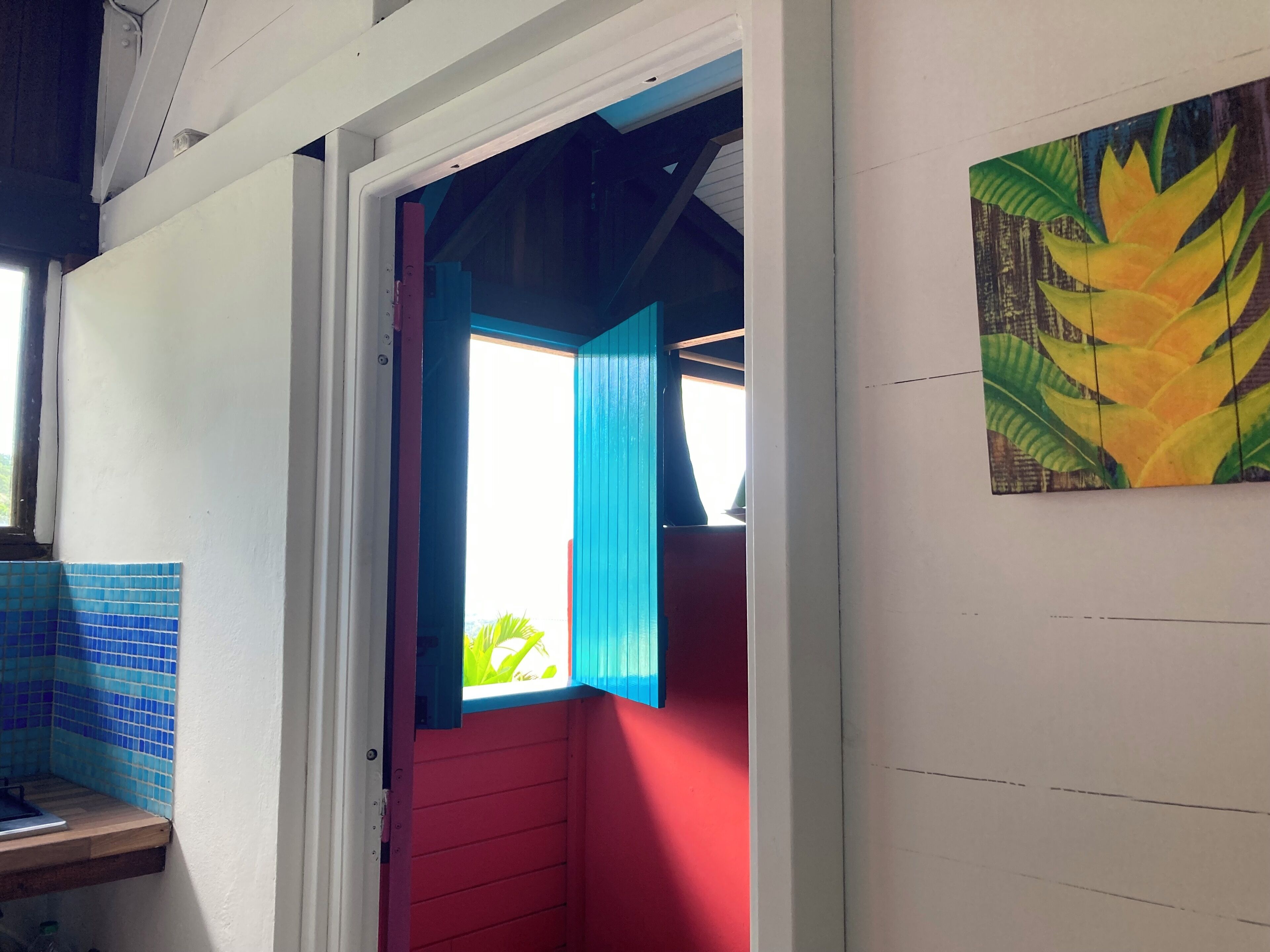 A room with a red wall, a blue door, and a window with a view of greenery outside.