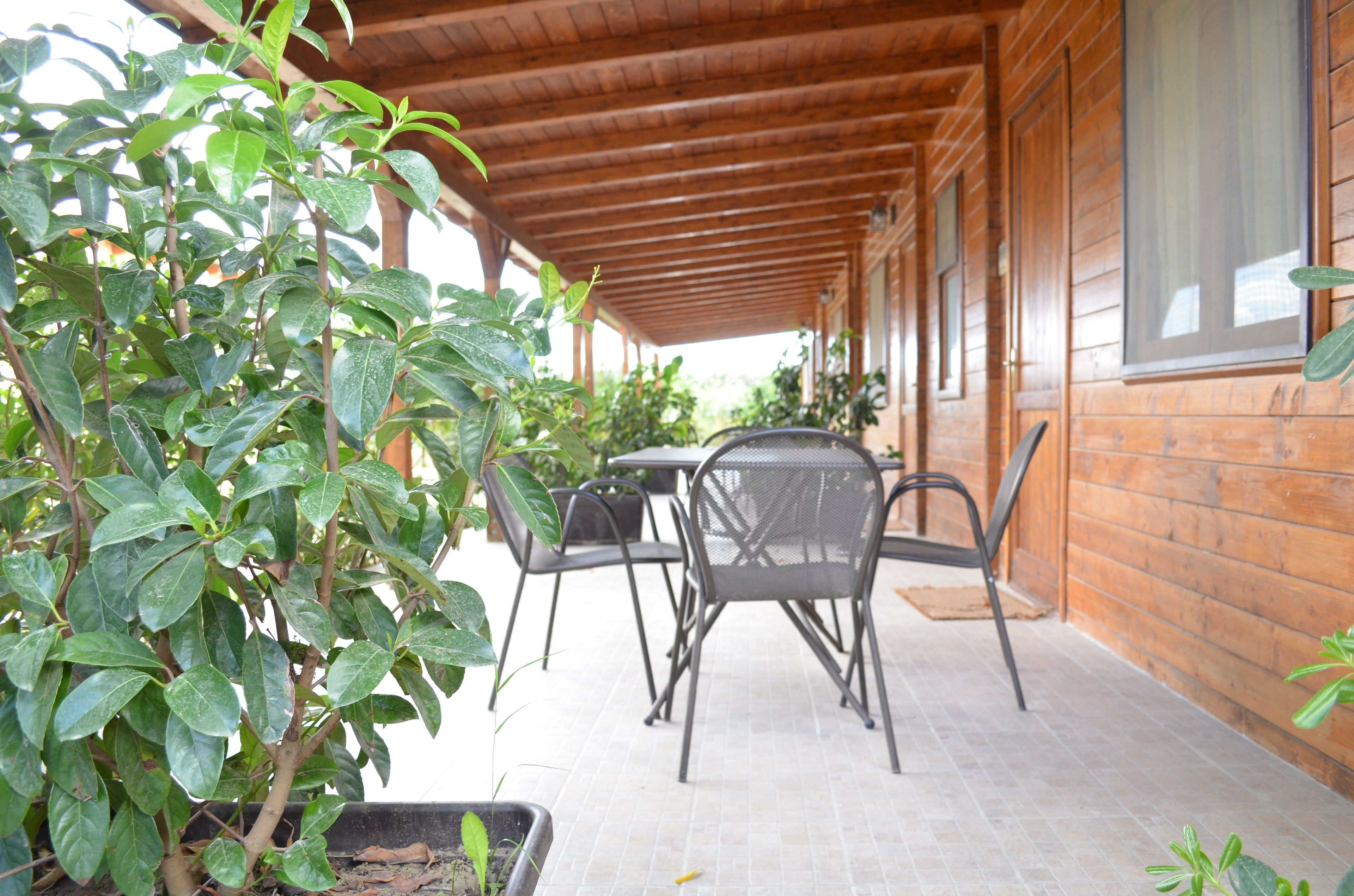 A covered patio area with wooden walls and a tiled floor, featuring metal chairs and potted plants.