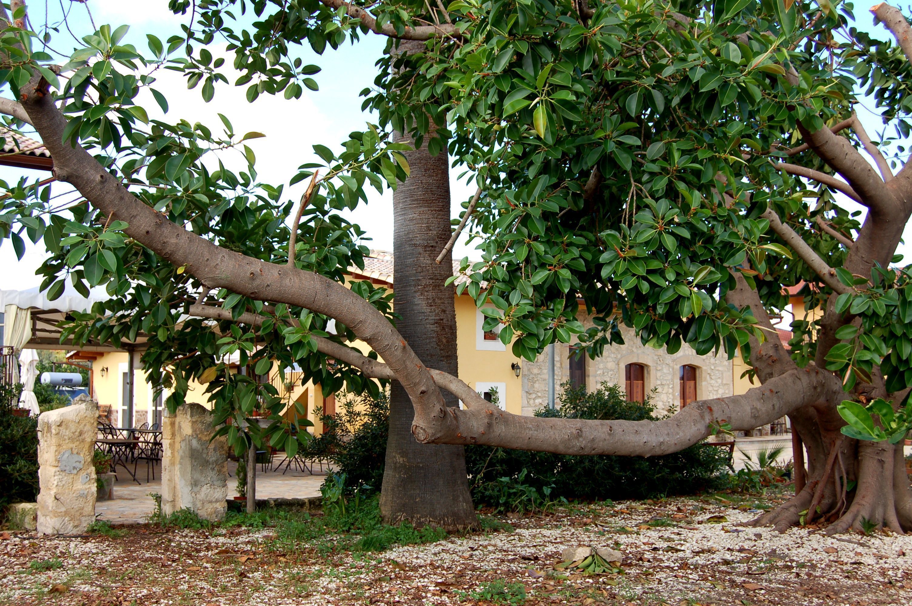 Photo - Il Giardino Del Sole